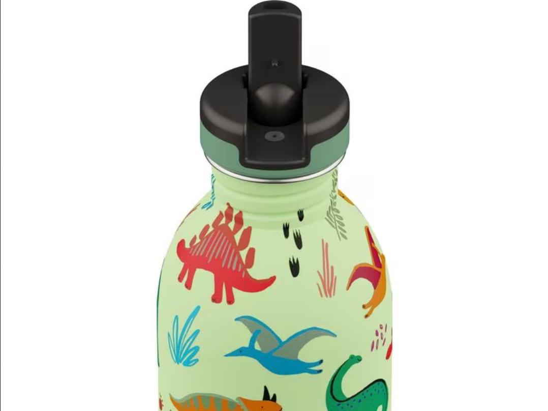 24 Bottles : Gourde Urban "Jurassic Friends" 500 ml