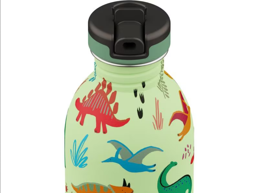 24 Bottles : Gourde Urban "Jurassic Friends" 500 ml