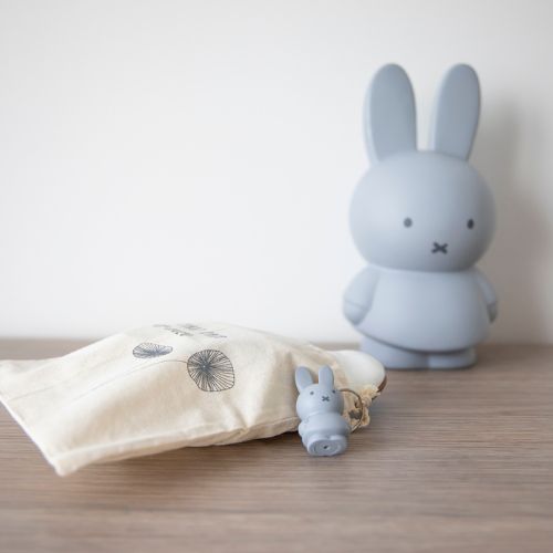 Atelier Pierre Junior : Tirelire Miffy | Bleu Argenté