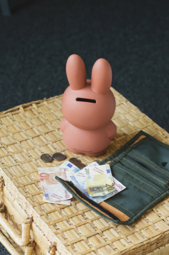 Atelier Pierre Junior : Tirelire Miffy | Terra