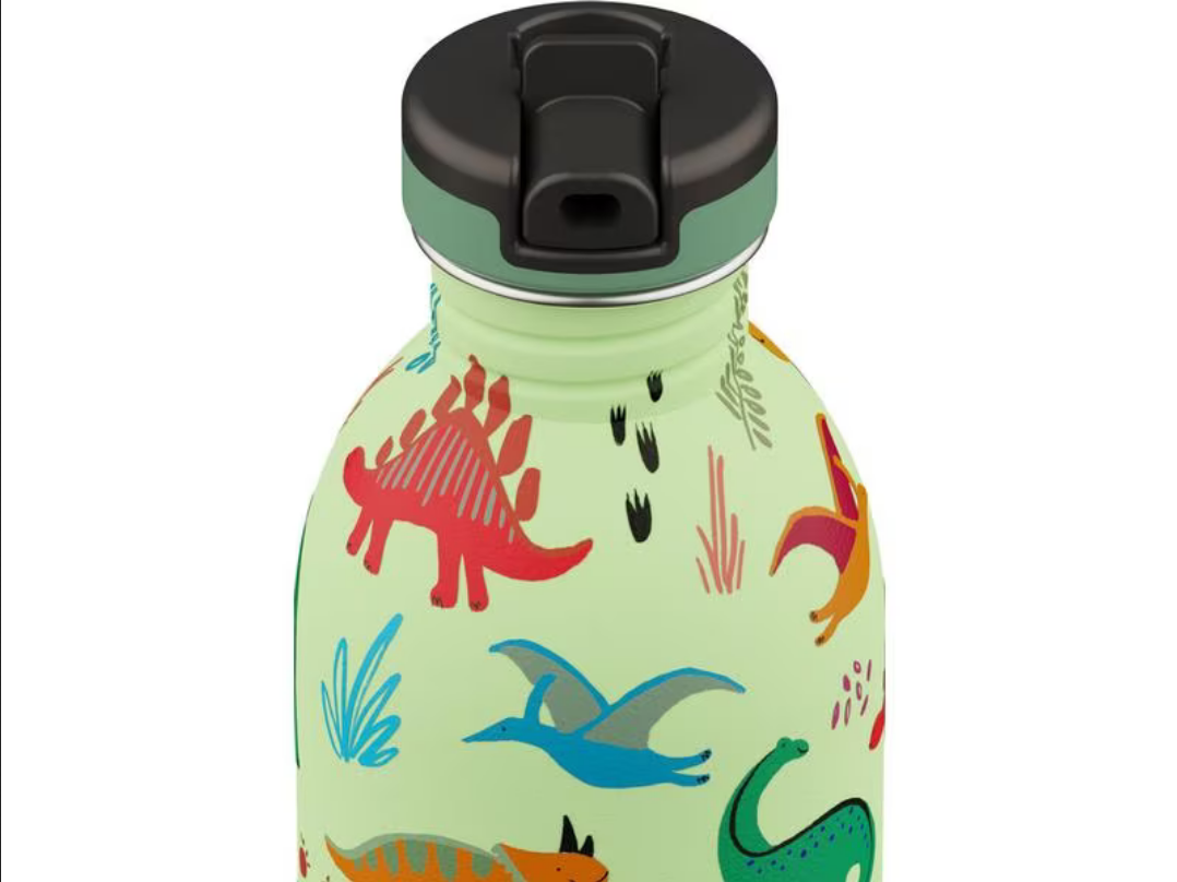24 Bottles: Trinkflasche Urban "Jurassic Friends" 500 ml